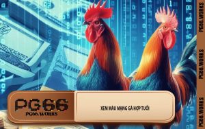 Xem Màu Mạng Gà Hợp Tuổi