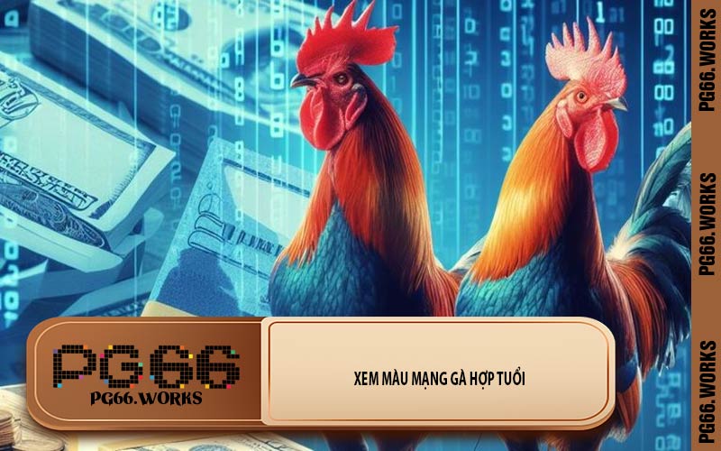 Xem Màu Mạng Gà Hợp Tuổi